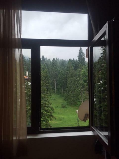 Viva Flora Apartment 607A Borovets Buitenkant foto