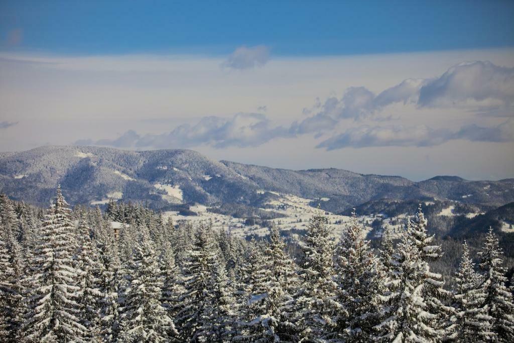 Viva Flora Apartment 607A Borovets Buitenkant foto