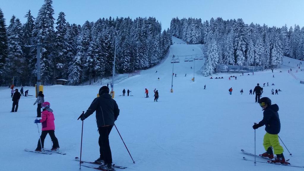 Viva Flora Apartment 607A Borovets Buitenkant foto